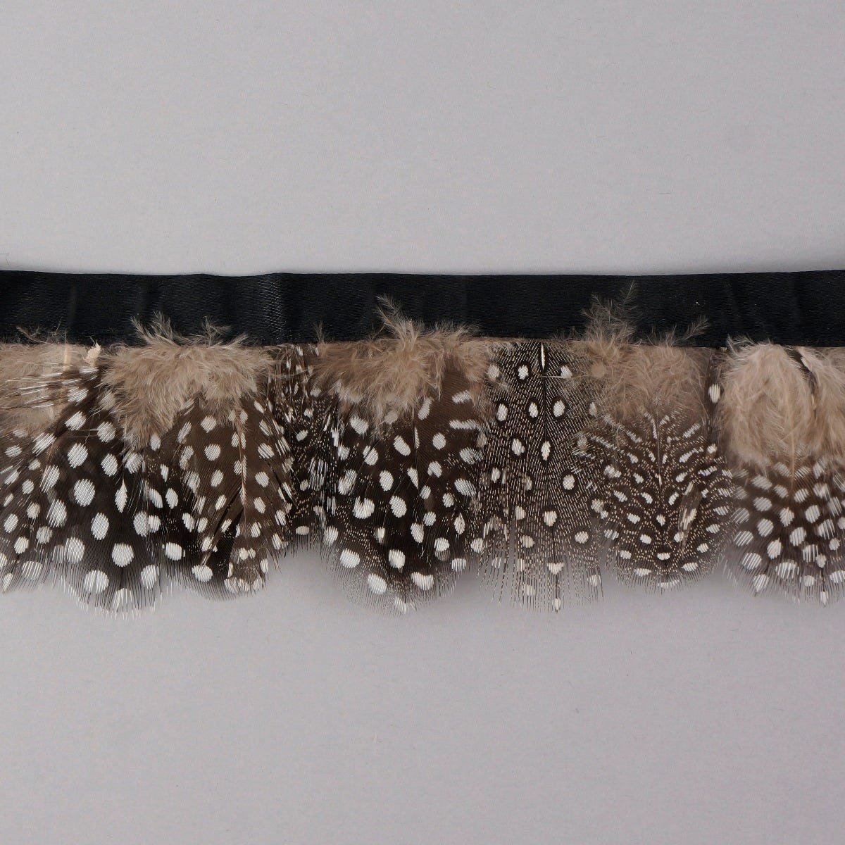 Natural White-Black Guinea Feather Fringe - Feathers