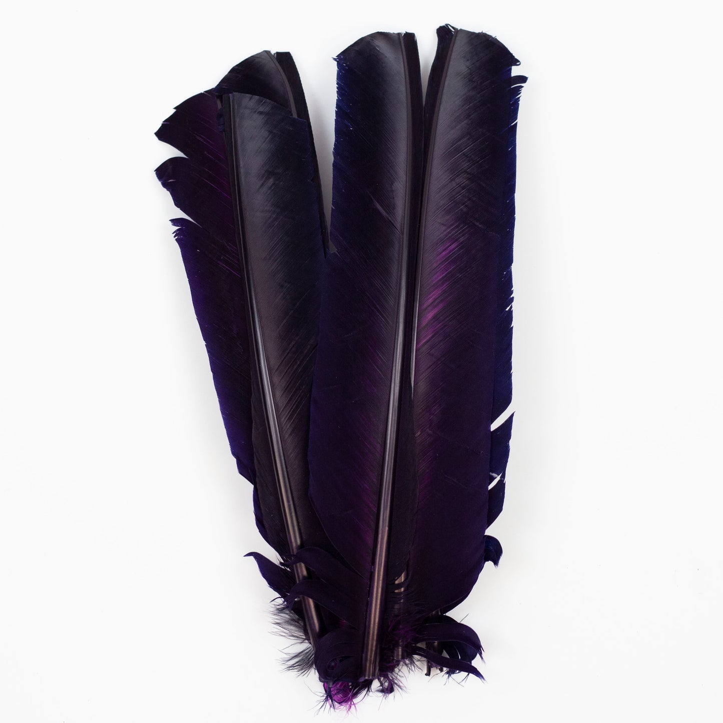 Navy Cut Turkey Pointer Feathers 8-12"