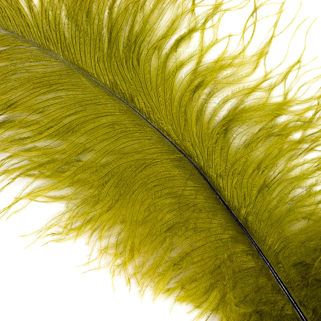 Large Ostrich Feathers - 17"+ Drabs - Olive