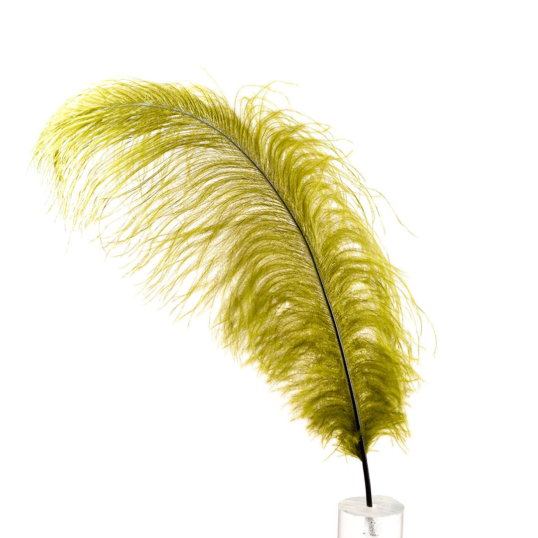 Large Ostrich Feathers - 17"+ Drabs - Olive