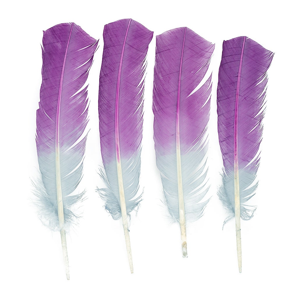 Ombre Turkey Quill 10-12’’ Left Wing Tip Silver.25 lb - Amethyst - Feathers