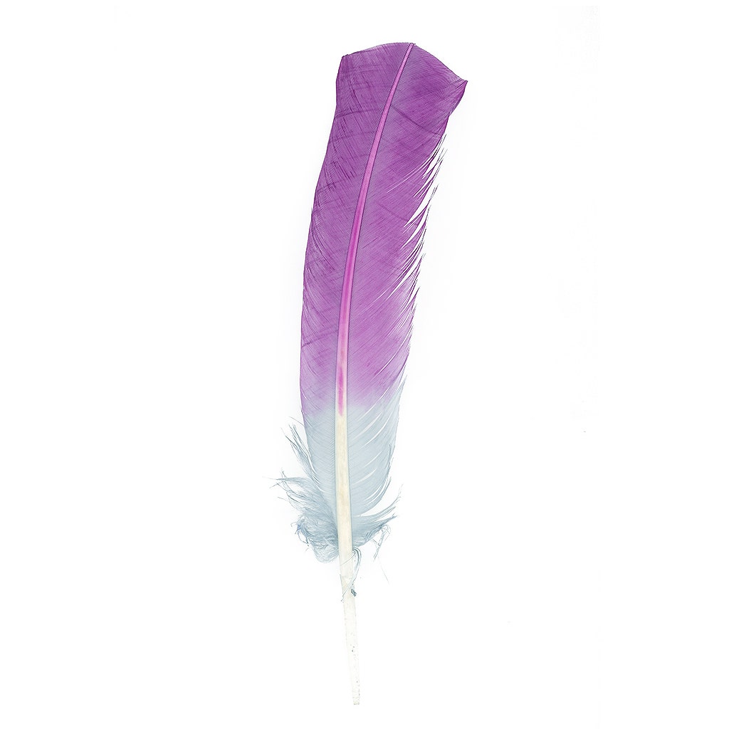 Ombre Turkey Quill 10-12’’ Left Wing Tip Silver.25 lb - Amethyst - Feathers