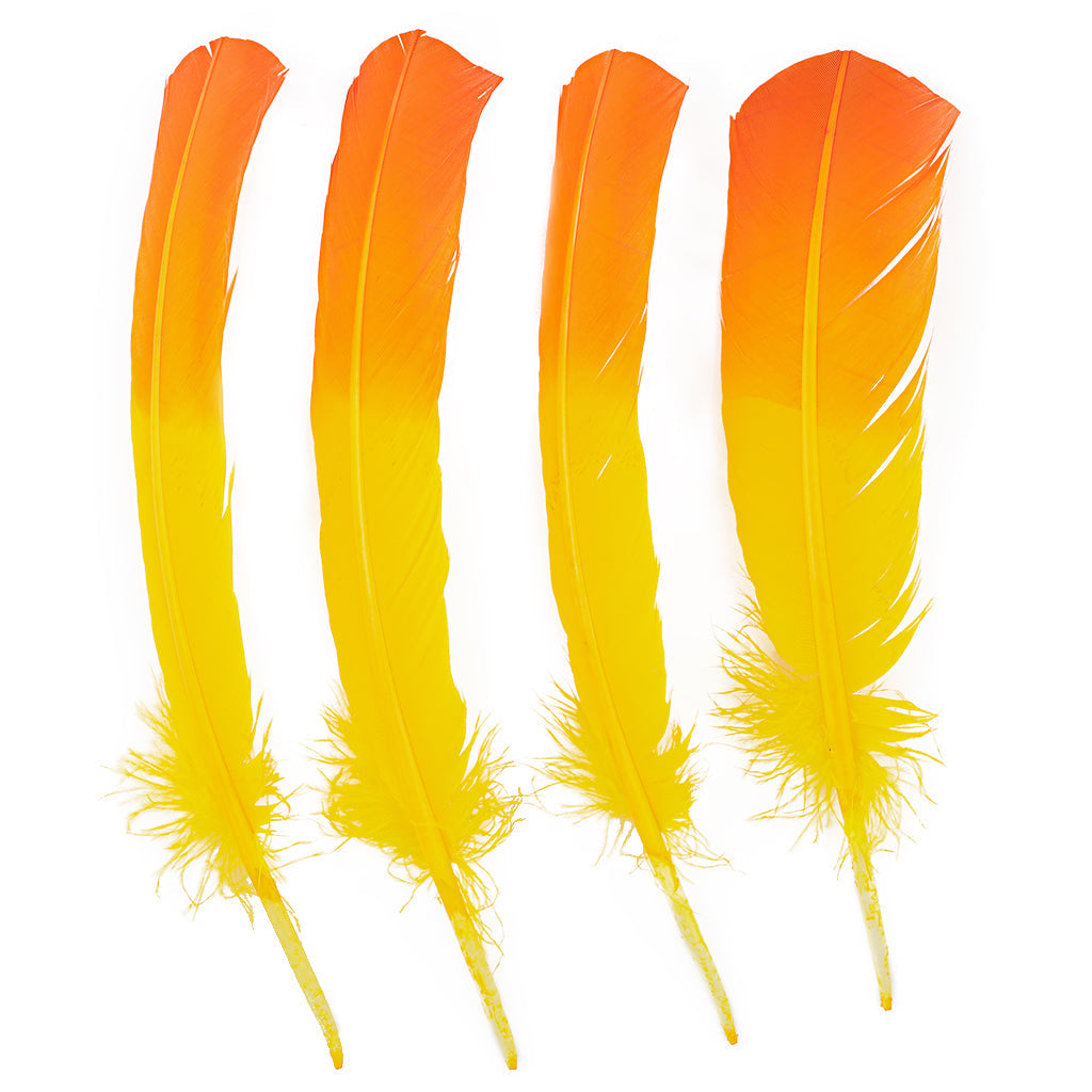 Ombre Turkey Quill 10-12’’ Right Wing Tip Silver.25 lb - Pink Orient-Orange - Feathers