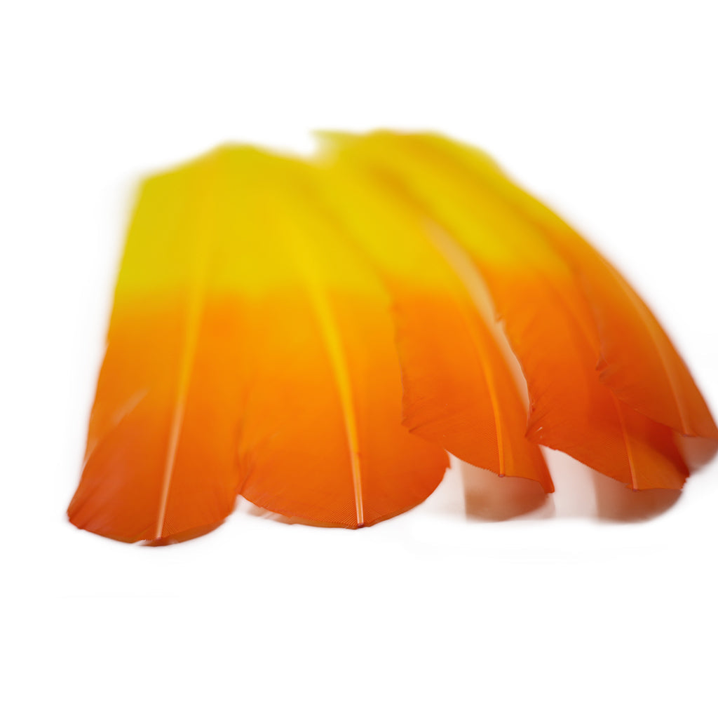 Ombre Turkey Quill 10-12’’ Right Wing Tip Silver.25 lb - Pink Orient-Orange - Feathers