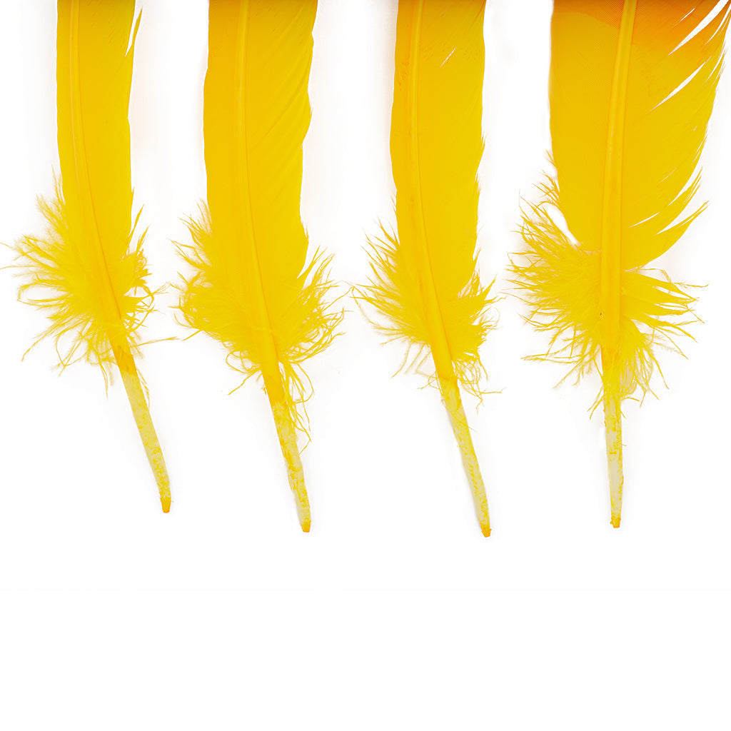 Ombre Turkey Quill 10-12’’ Right Wing Tip Silver.25 lb - Pink Orient-Orange - Feathers