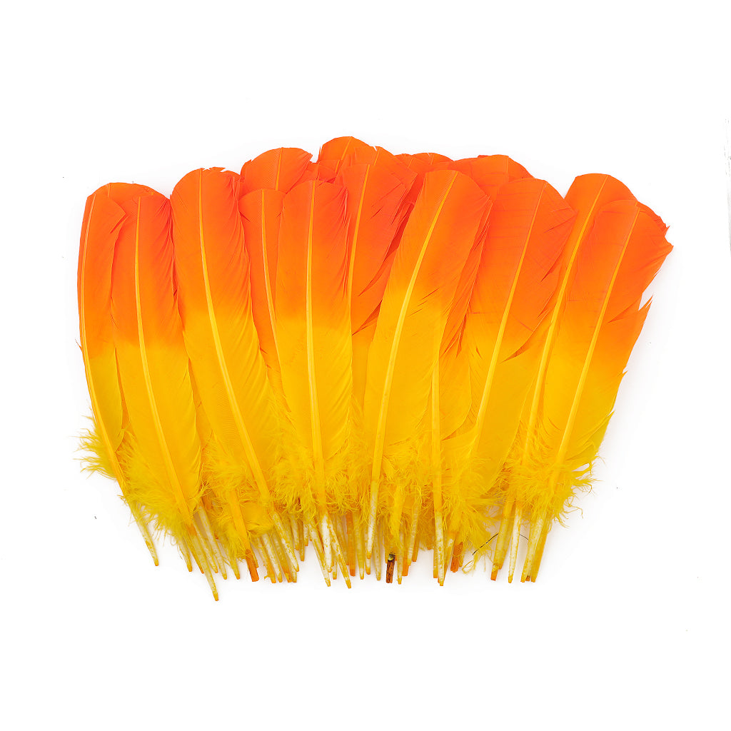 Ombre Turkey Quill 10-12’’ Right Wing Tip Silver.25 lb - Pink Orient-Orange - Feathers