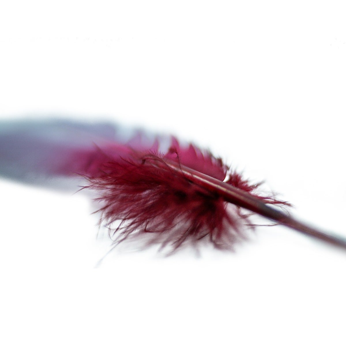 Ombré Turkey Quill Feathers 10-12” 2 pc- Burgundy - Silver - Feathers