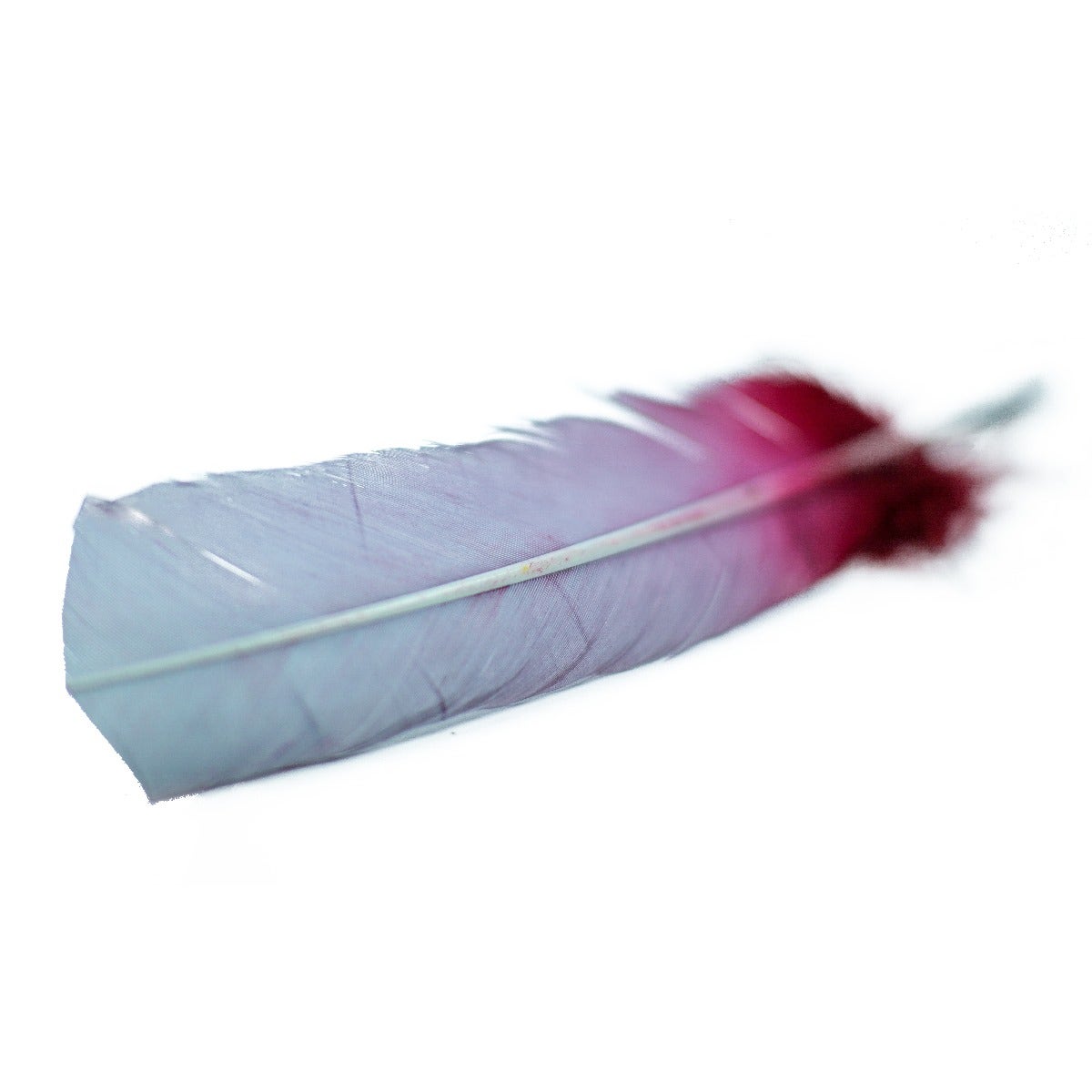 Ombré Turkey Quill Feathers 10-12” 2 pc- Burgundy - Silver - Feathers