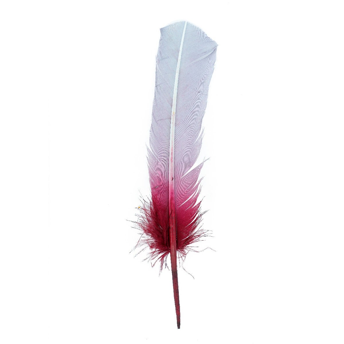 Ombré Turkey Quill Feathers 10-12” 2 pc- Burgundy - Silver - Feathers