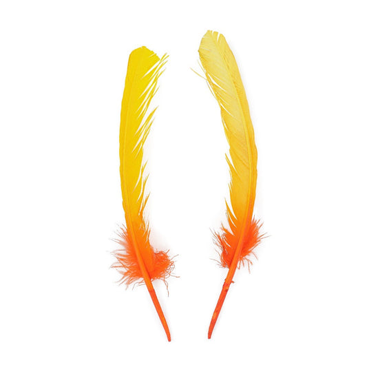 Ombré Turkey Quill Feathers 10-12” 2 pc- Gold - Orange - Feathers