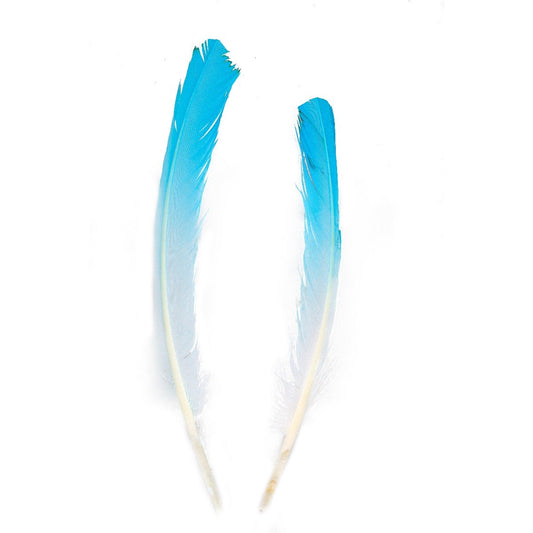 Ombré Turkey Quill Feathers 10-12” 2 pc - Light Turquoise /White - Feathers