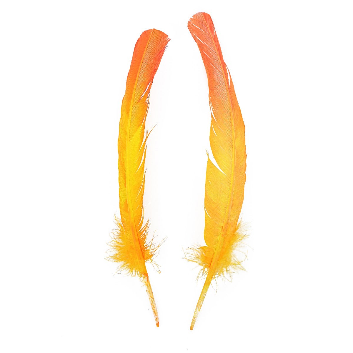 Ombré Turkey Quill Feathers 10-12” 2 pc - Pink Orient-Gold - Feathers