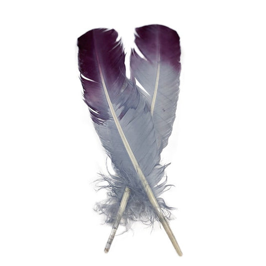 Ombré Turkey Quill Feathers 10-12” 2 pc - Purple-Silver - Feathers