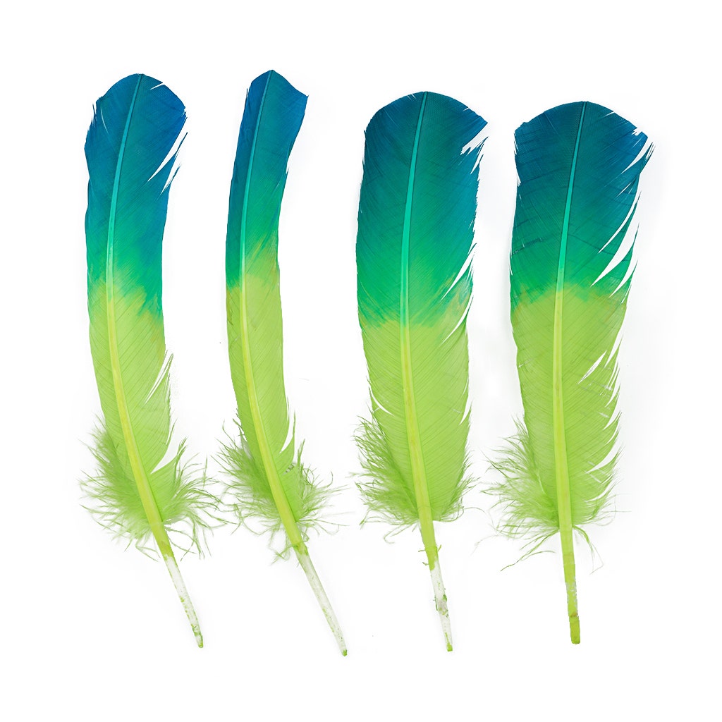 Ombre Turkey Quill Feathers 10-12’’ Dip.25 lb - Dark Turquiose/Lime - Feathers