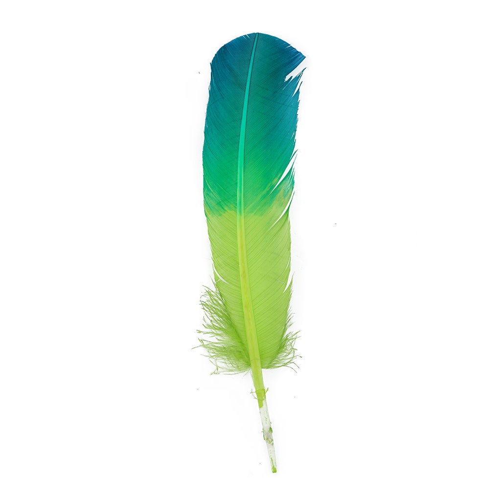 Ombre Turkey Quill Feathers 10-12’’ Dip.25 lb - Dark Turquiose/Lime - Feathers