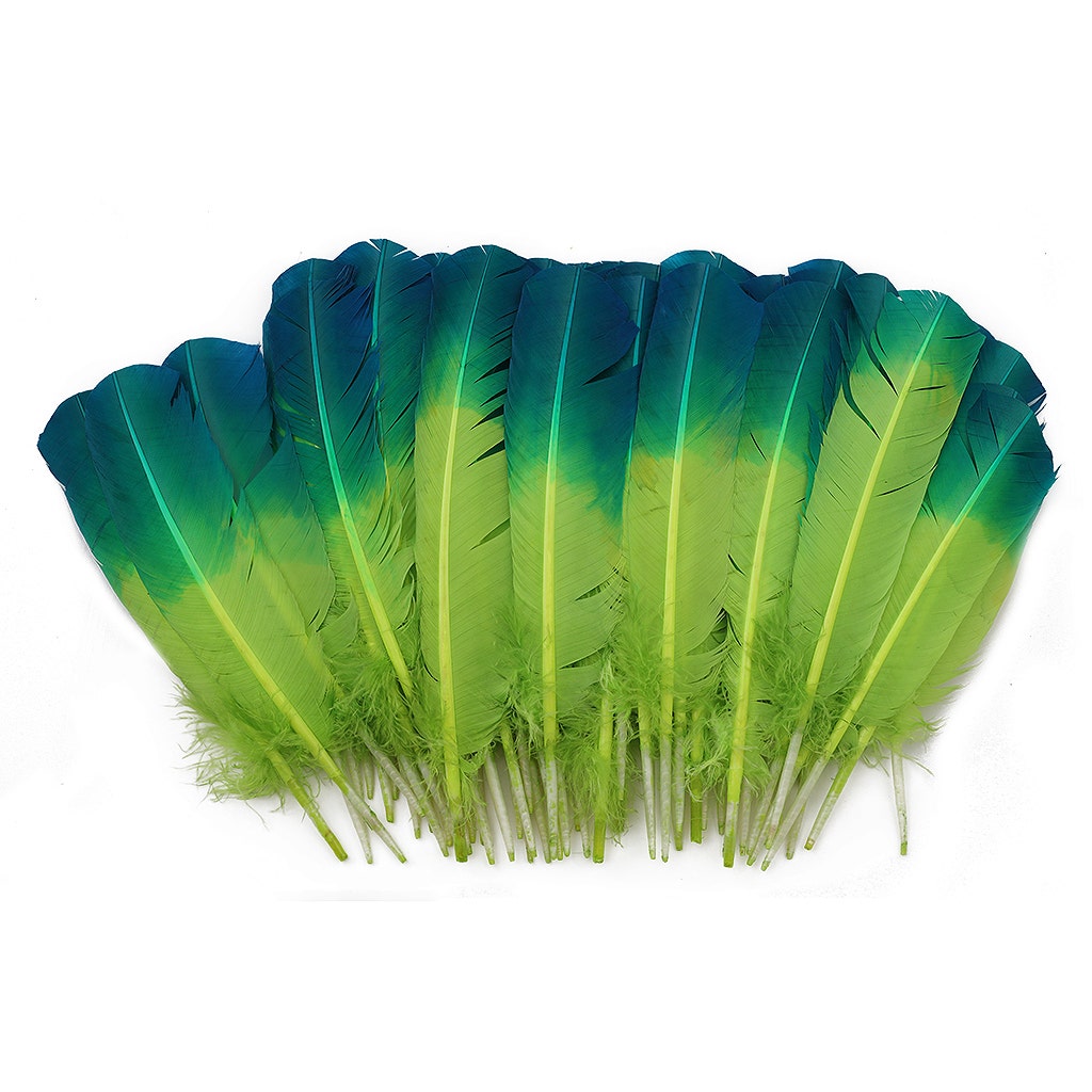 Ombre Turkey Quill Feathers 10-12’’ Dip.25 lb - Dark Turquiose/Lime - Feathers