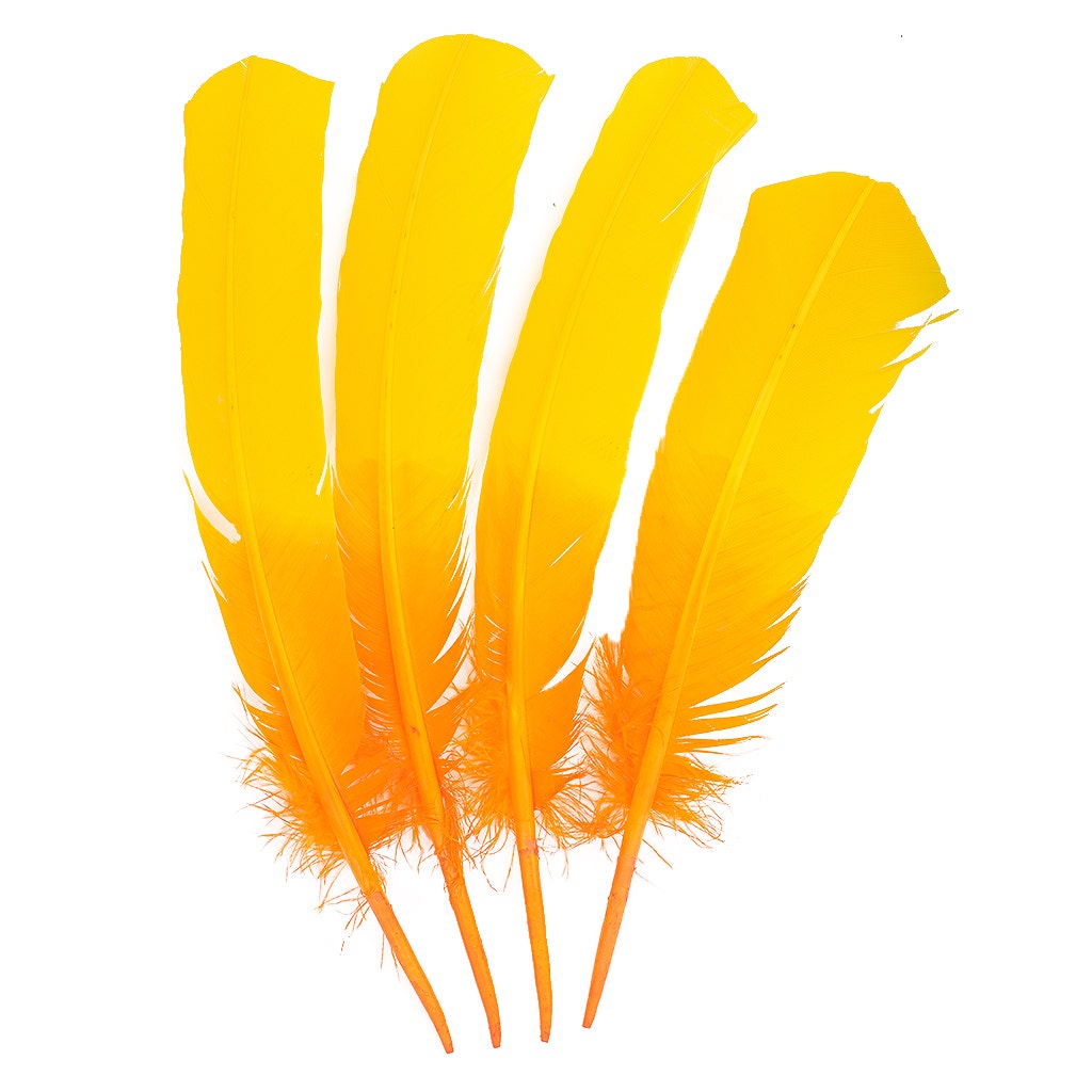 Ombre Turkey Quill Feathers 10-12’’ Dip.25 lb - Gold Orange - Feathers