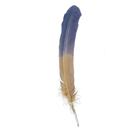 Ombre Turkey Quill Feathers 10-12’’ Dip.25 lb - Navy/Camel - Feathers