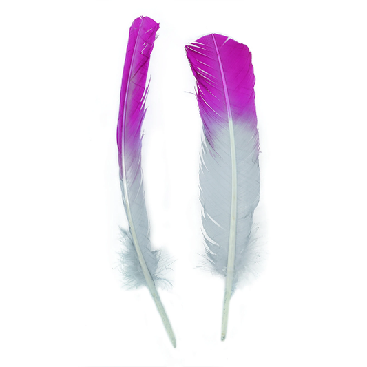 Ombre Turkey Quill Feathers 10-12’’ Dip.25 lb - Very Berry/Silver - Feathers