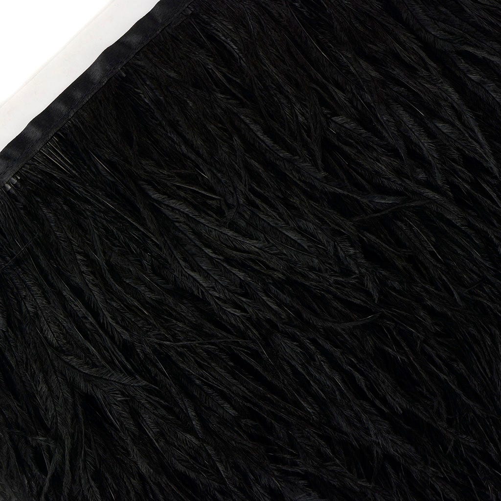 One-Ply Ostrich Feather Fringe - 5 Yards - Black - Feathers