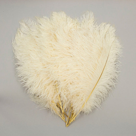 Ostrich Tails 16-18 inch  - 30 PC - Ivory