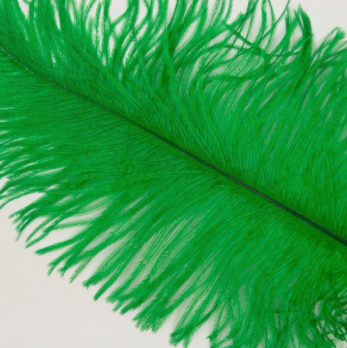 Ostrich Tails 16-18 inch  - 30 PC - Kelly