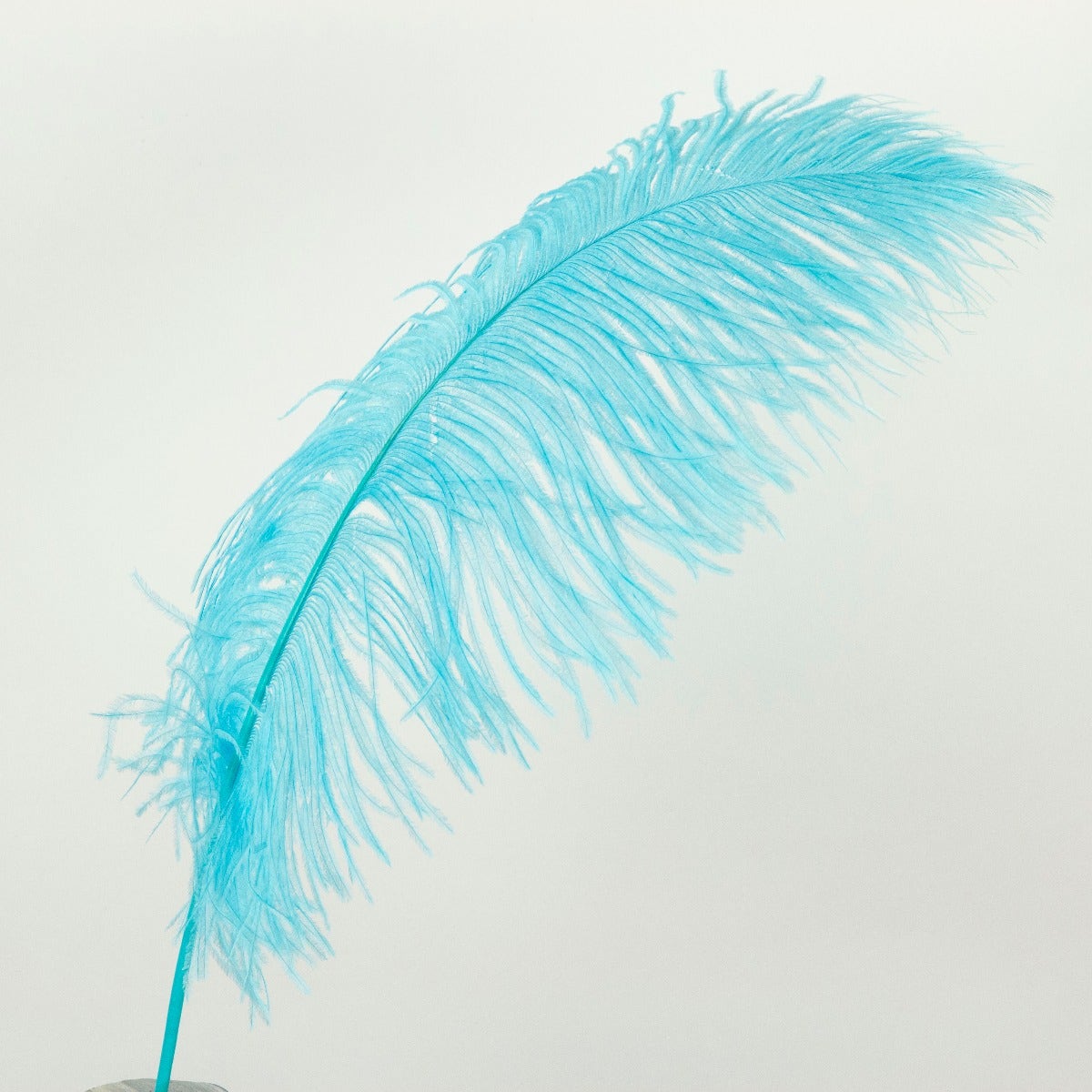 Ostrich Tails 16-18 inch  - 30 PC - Light Turquoise