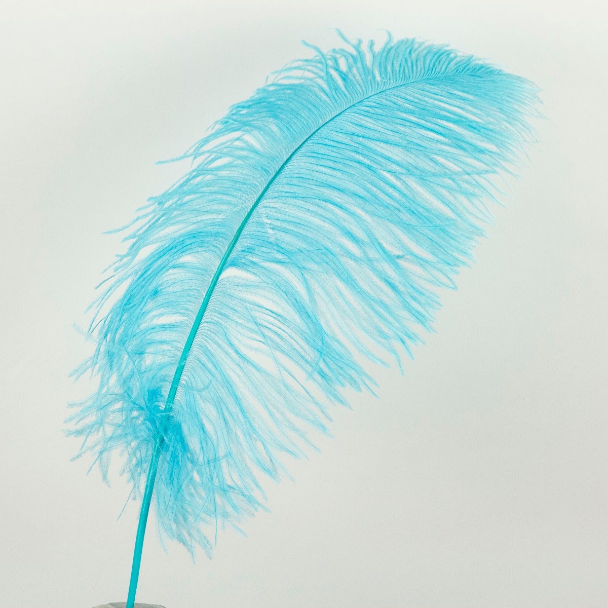 Ostrich Tails 16-18 inch  - 30 PC - Light Turquoise