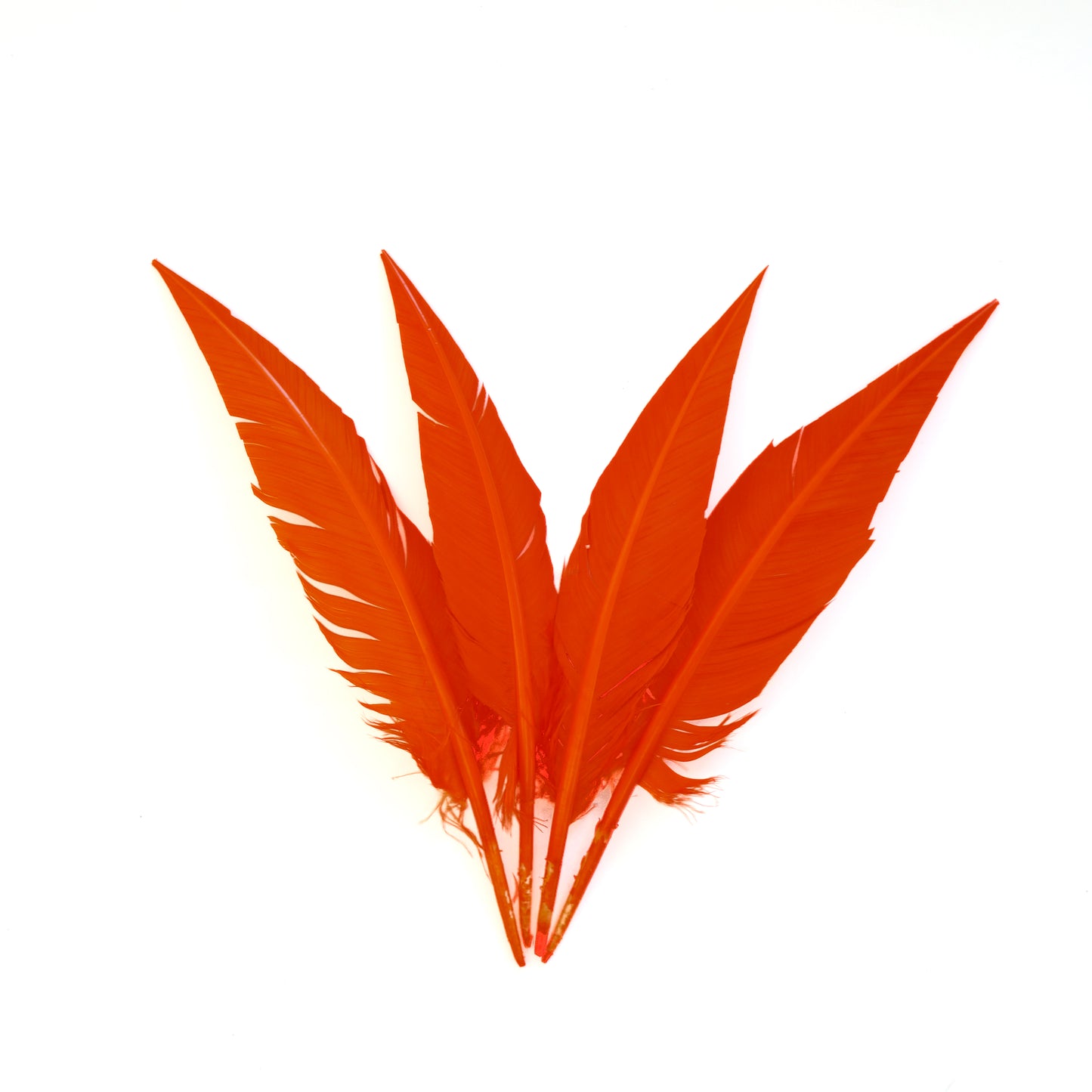 Orange Dagger Turkey Quill Feathers 9-12"