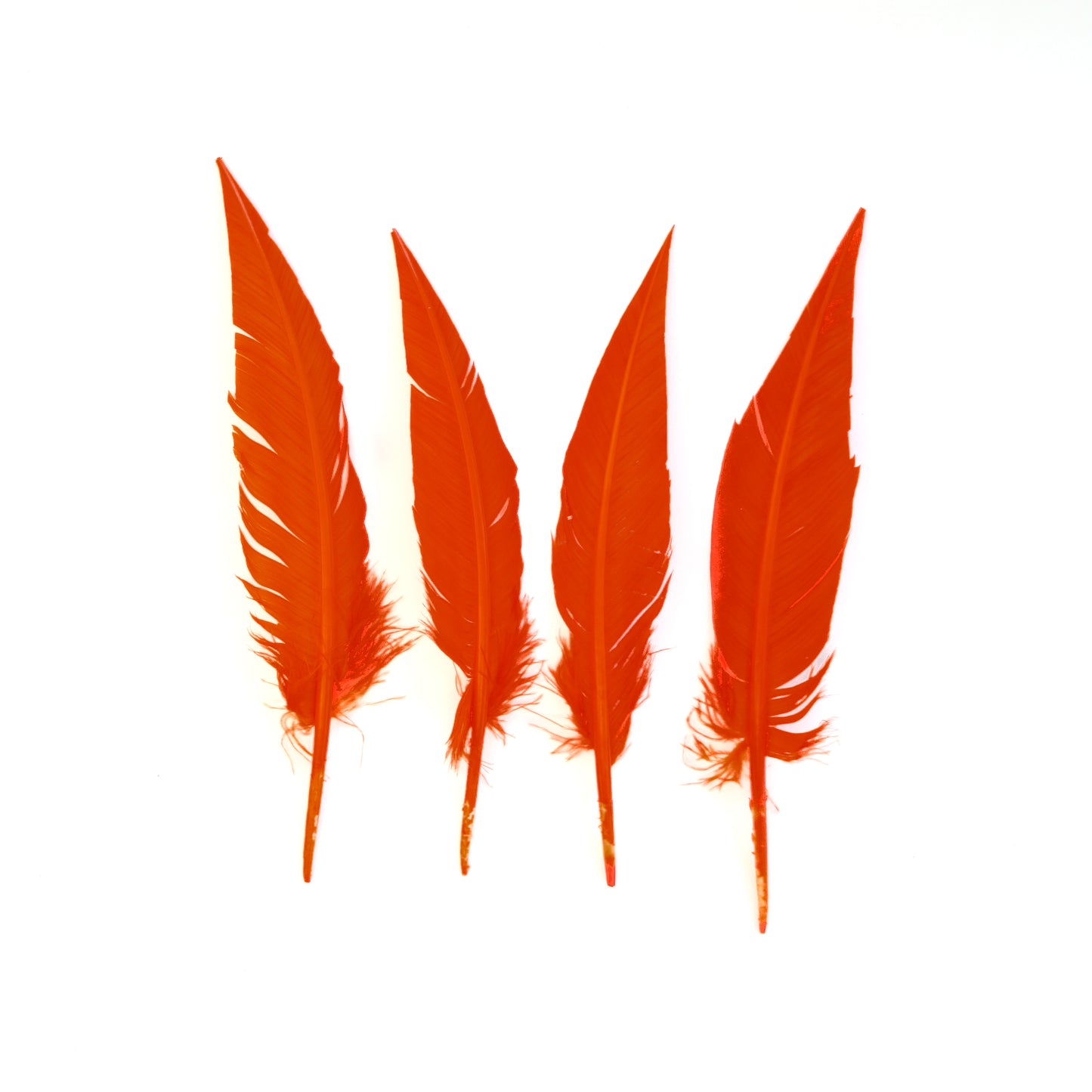 Orange Dagger Turkey Quill Feathers 9-12"