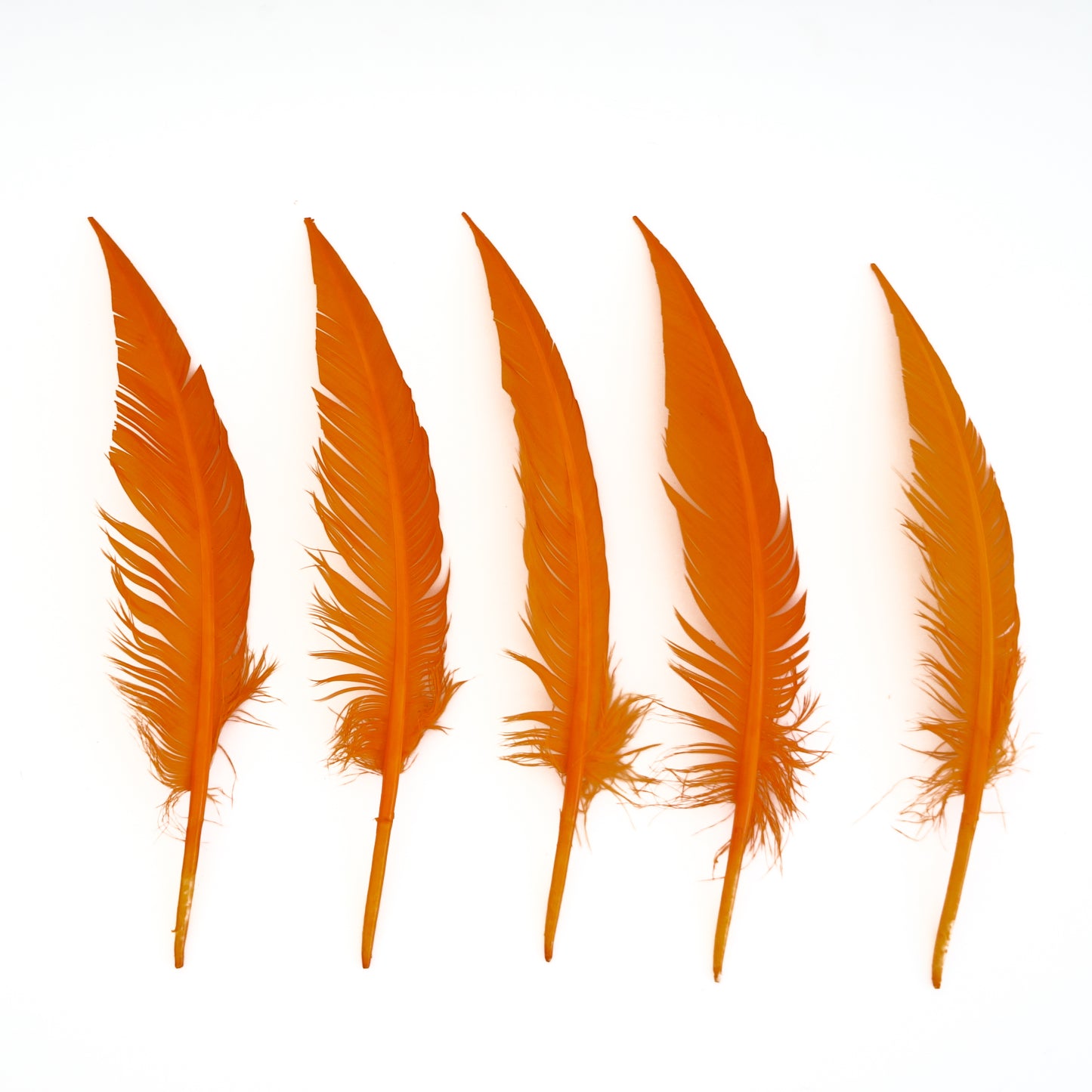 Mango Dagger Turkey Quill Feathers 9-12"