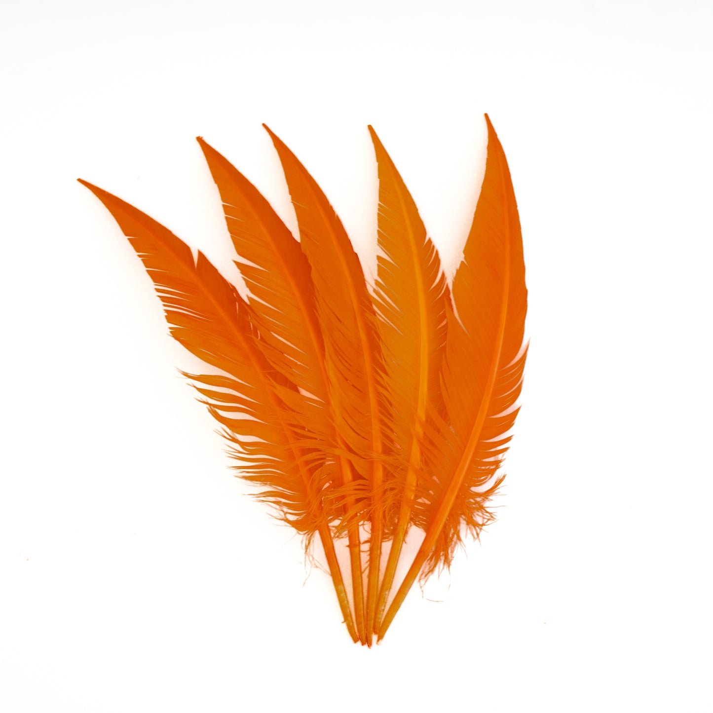 Mango Dagger Turkey Quill Feathers 9-12"