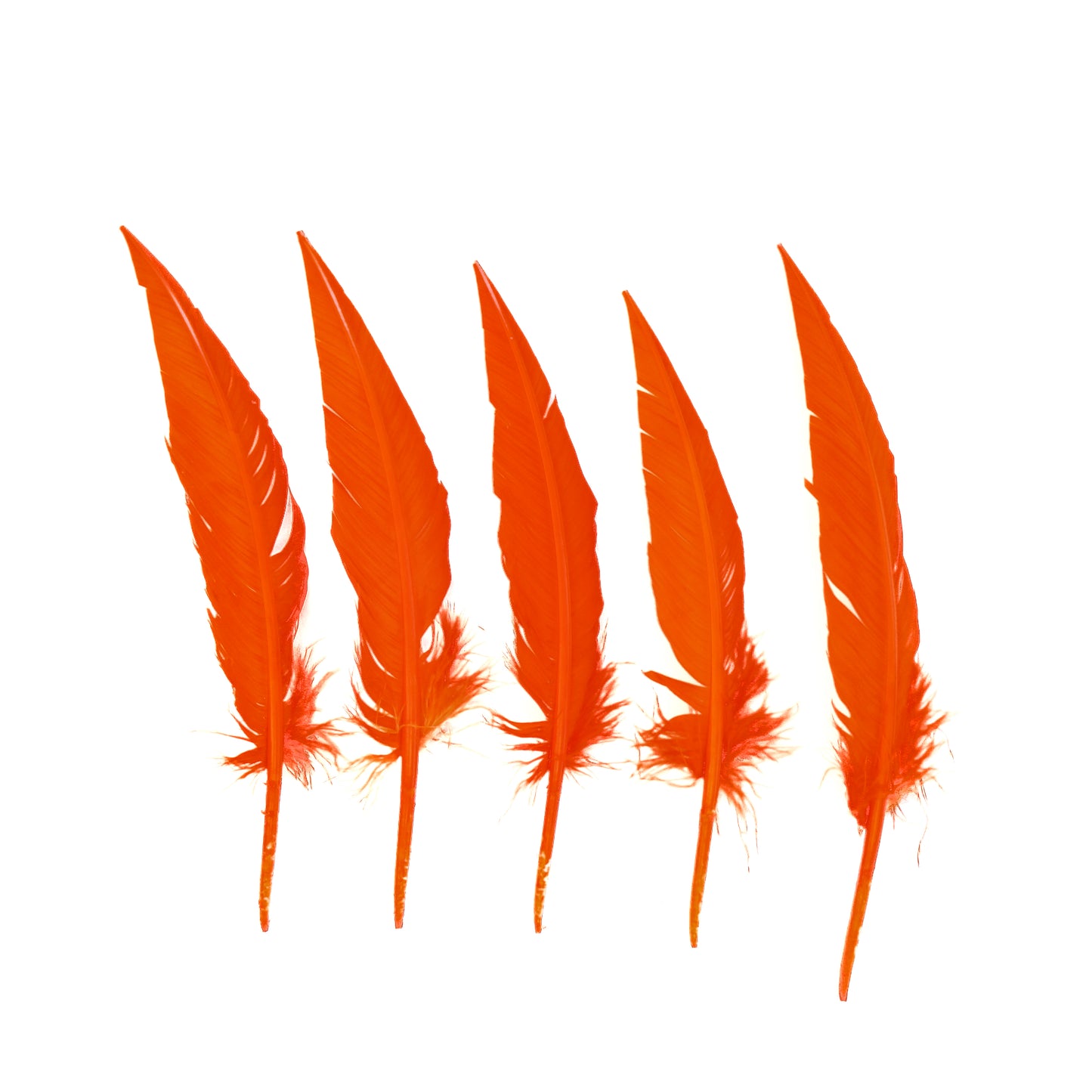 Orange Dagger Turkey Quill Feathers 9-12"
