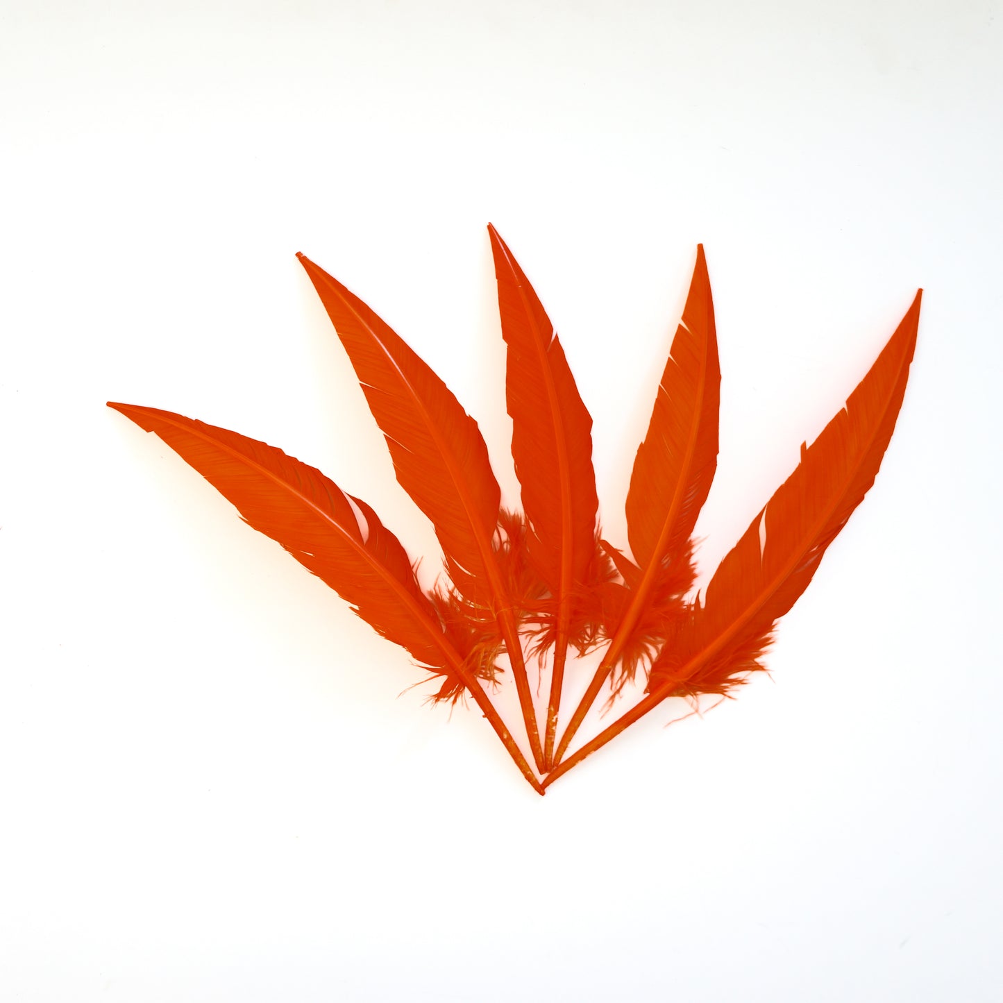 Orange Dagger Turkey Quill Feathers 9-12"
