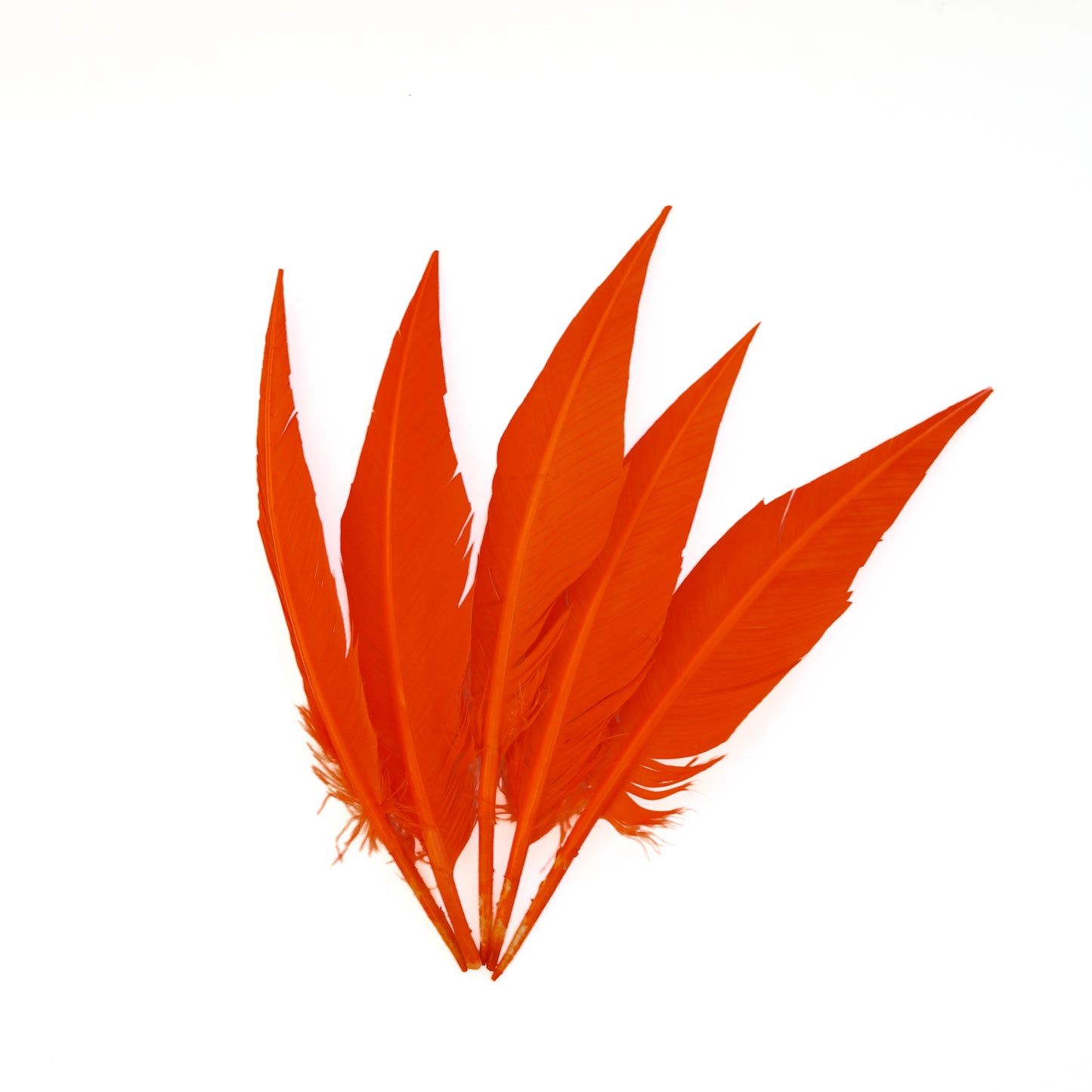 Orange Dagger Turkey Quill Feathers 9-12"