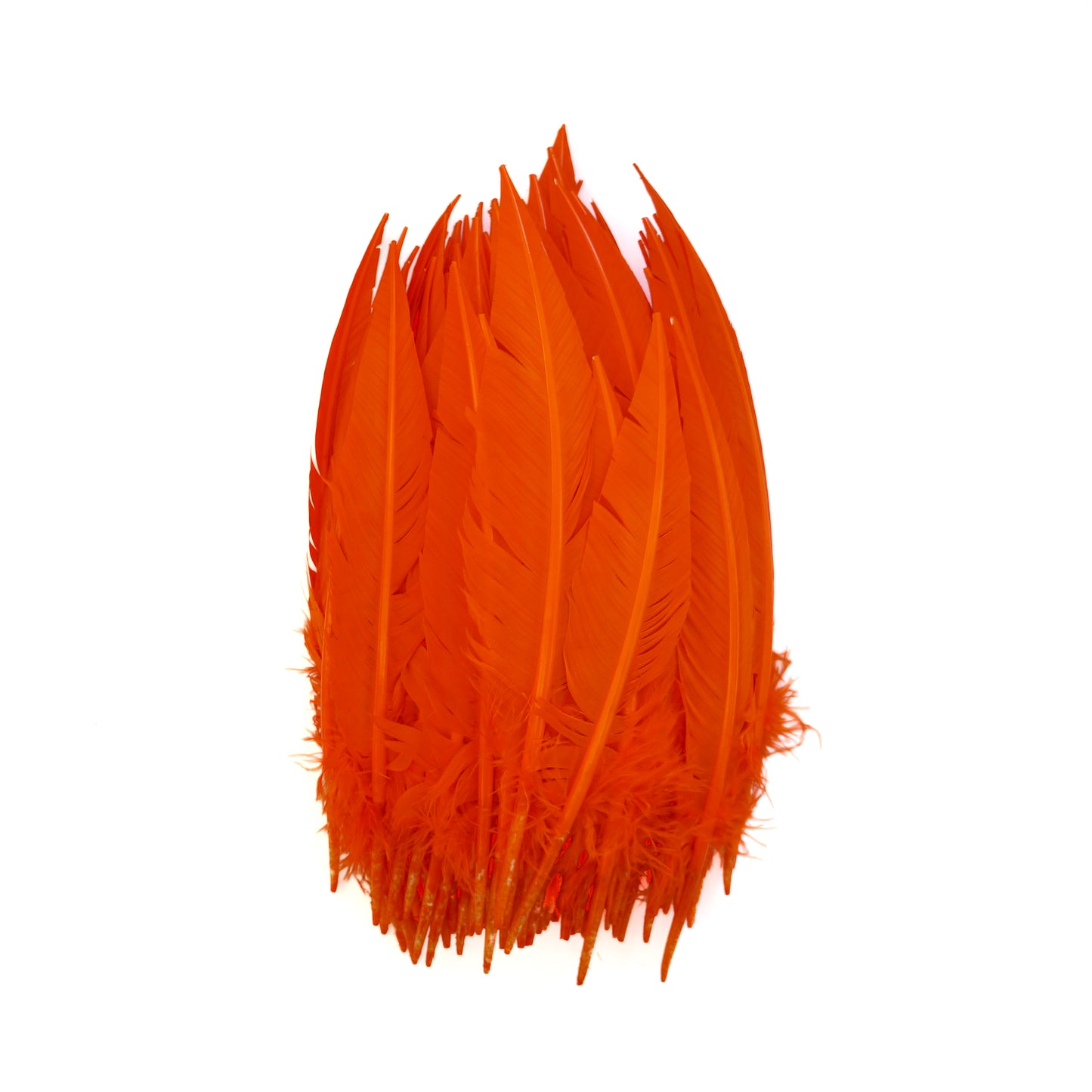 Orange Dagger Turkey Quill Feathers 9-12"