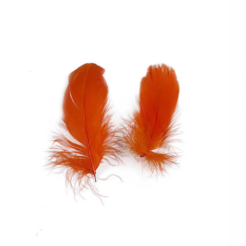 Goose Nagoire Loose 4-6 inch   1/4LB --Orange