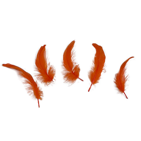 Goose Nagoire Loose 4-6 inch   1/4LB --Orange