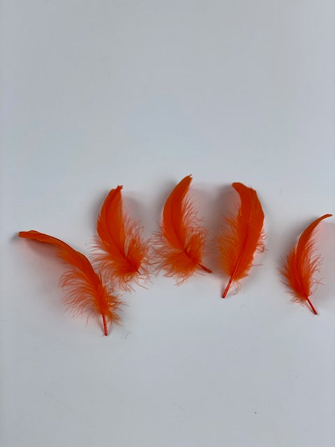 Goose Nagoire Loose 4-6 inch   1/4LB --Orange