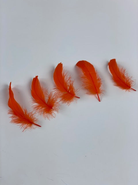 Goose Nagoire Loose 4-6 inch   1/4LB --Orange