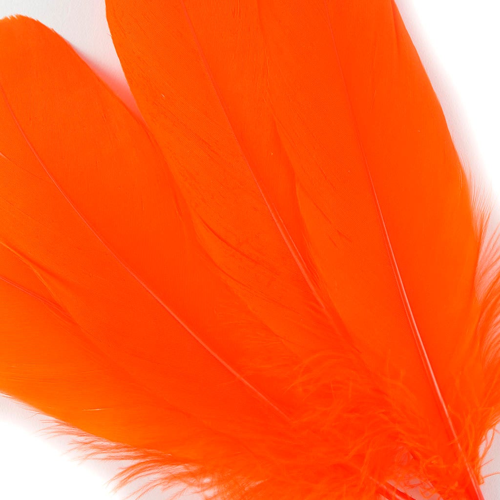 Bulk Bulk Goose Pallet Feathers 6-8 Inch - 1/4 LB - Orange