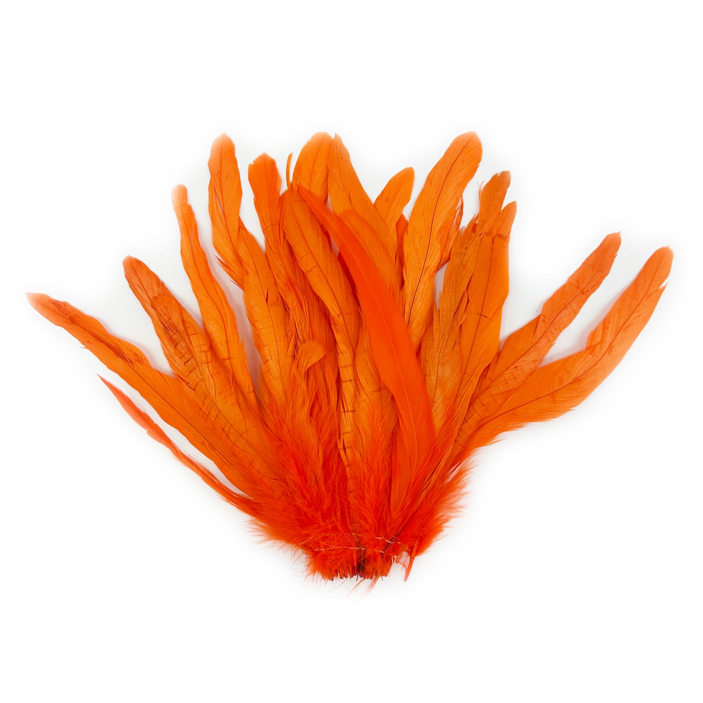 ROOSTER COQUE TAIL FEATHERS BLEACH DYED 7-10” - 25 PC/PKG - Orange
