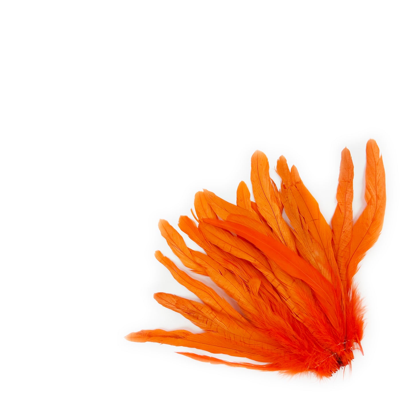 ROOSTER COQUE TAIL FEATHERS BLEACH DYED 7-10” - 25 PC/PKG - Orange