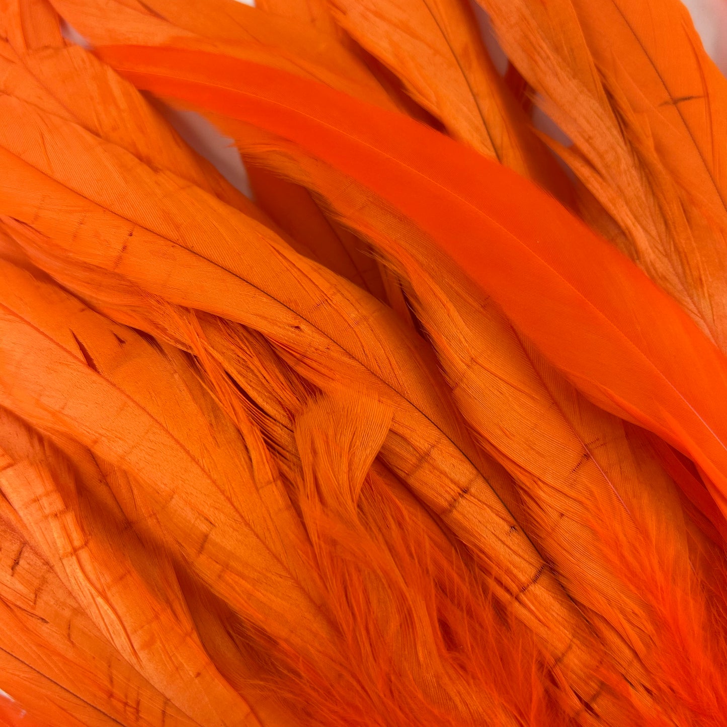 ROOSTER COQUE TAIL FEATHERS BLEACH DYED 7-10” - 25 PC/PKG - Orange