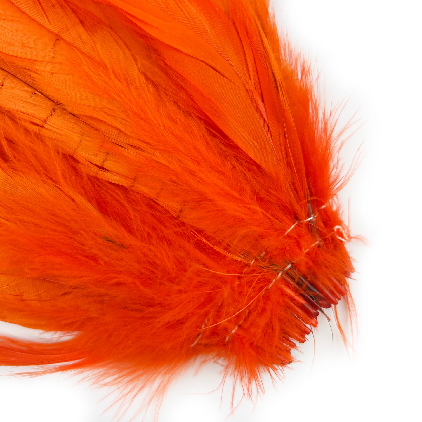ROOSTER COQUE TAIL FEATHERS BLEACH DYED 7-10” - 25 PC/PKG - Orange