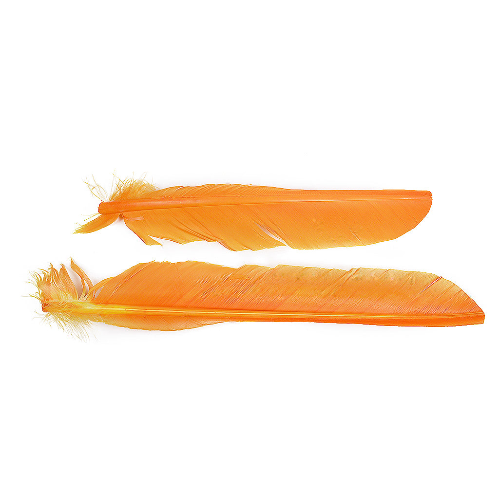 Mango Cut Turkey Pointer Feathers 8-12"