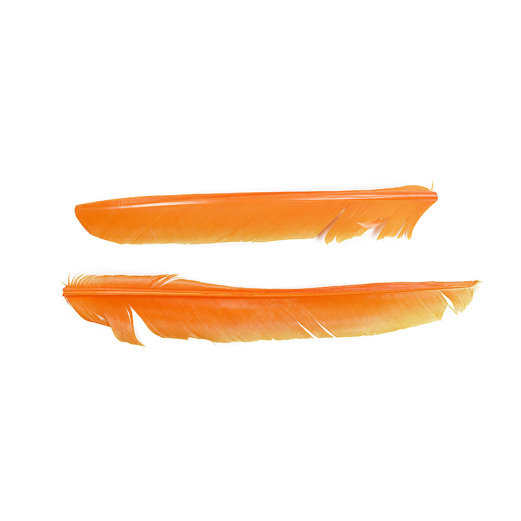 Mango Cut Turkey Pointer Feathers 8-12"