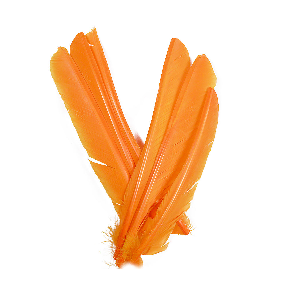 Mango Cut Turkey Pointer Feathers 8-12"