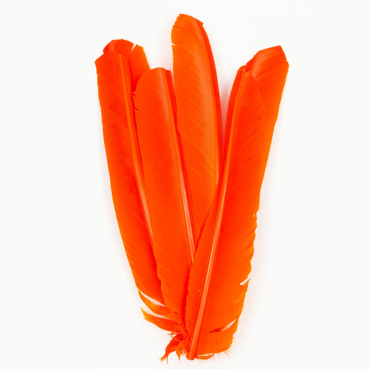 Orange Cut Turkey Pointer Feathers 8-12"