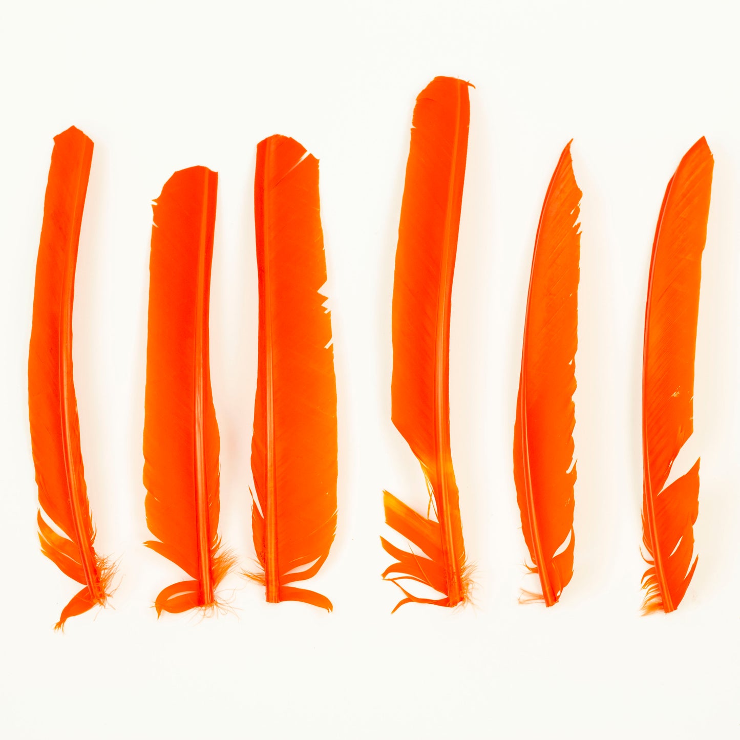 Orange Cut Turkey Pointer Feathers 8-12"